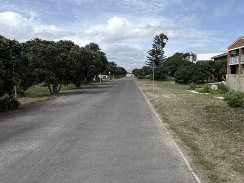 A view of the asphalt street and verge leading towards the property entrance, featuring established trees and a brick boundary wall.