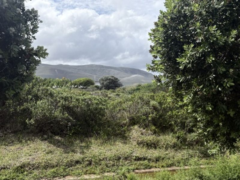 A scenic view of the surrounding landscape and mountains, framed by mature trees and natural vegetation on the property.
