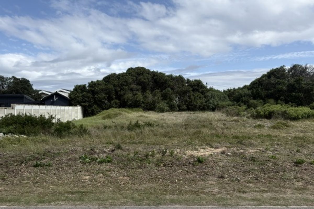 A vacant plot of land featuring natural vegetation and a precast concrete boundary wall, offering potential for development.