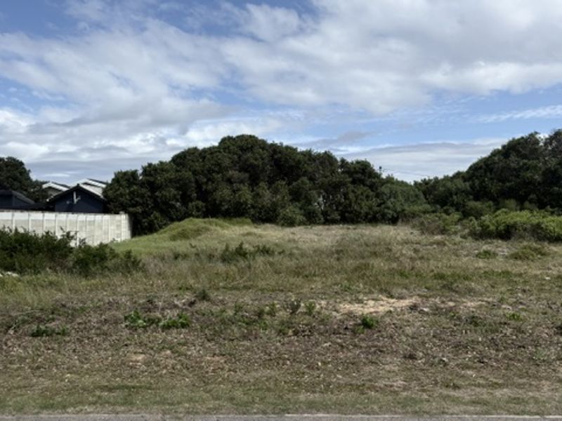 A vacant plot of land featuring natural vegetation and a precast concrete boundary wall, offering potential for development.