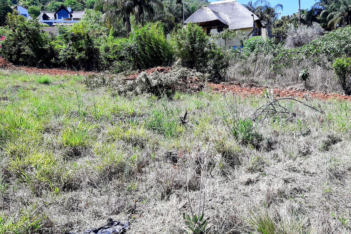 A view of an undeveloped residential plot featuring natural vegetation and sloped terrain, situated in a residential area.