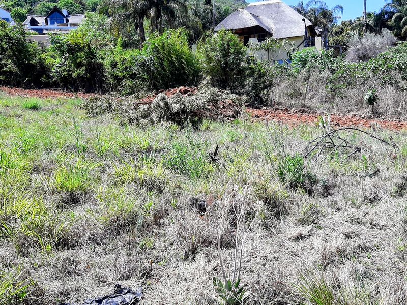 A view of an undeveloped residential plot featuring natural vegetation and sloped terrain, situated in a residential area.