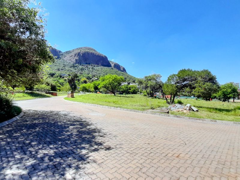 A view of the paved street and surrounding residential landscape, featuring established trees and mountain views in a quiet neighborhood setting.