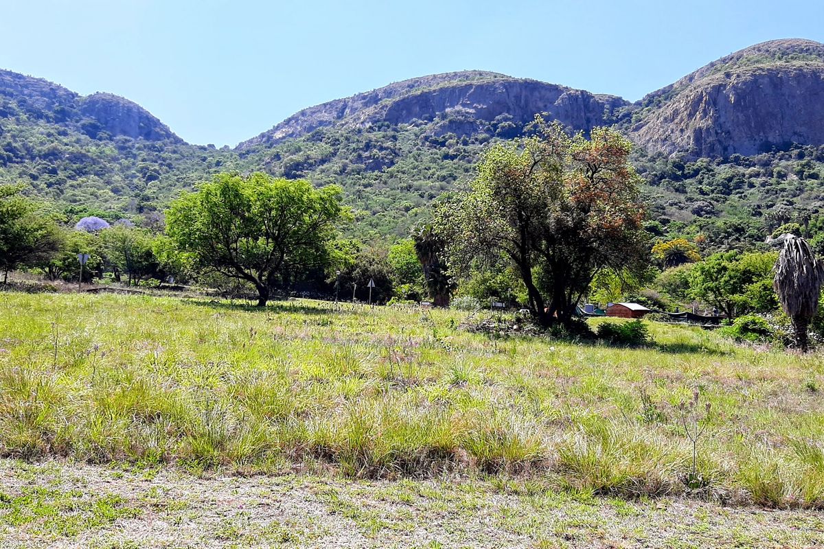 A scenic view of a vacant residential plot featuring natural grass and mature trees with a mountainous backdrop.