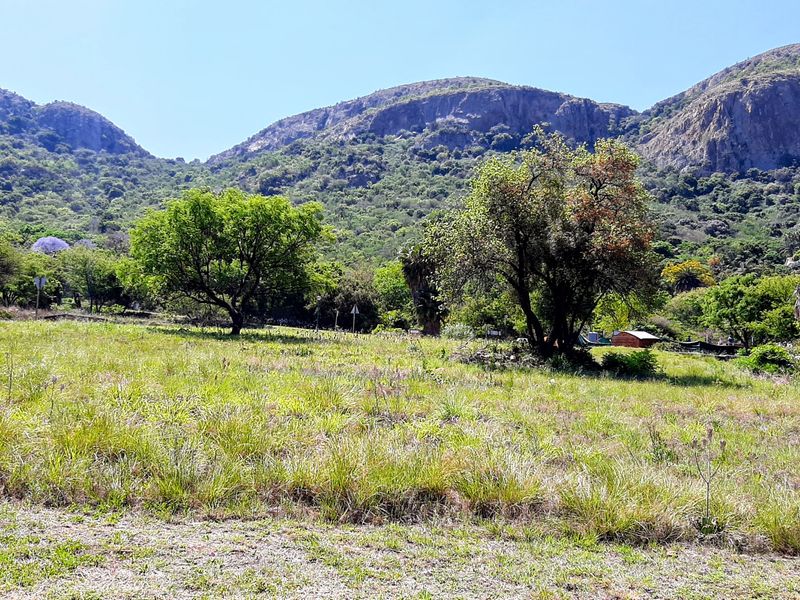 A scenic view of a vacant residential plot featuring natural grass and mature trees with a mountainous backdrop.