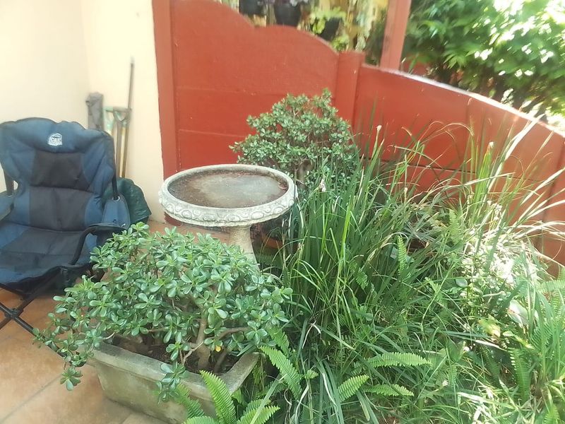 A small outdoor patio area featuring tiled flooring and a boundary wall, currently utilized as a garden space.