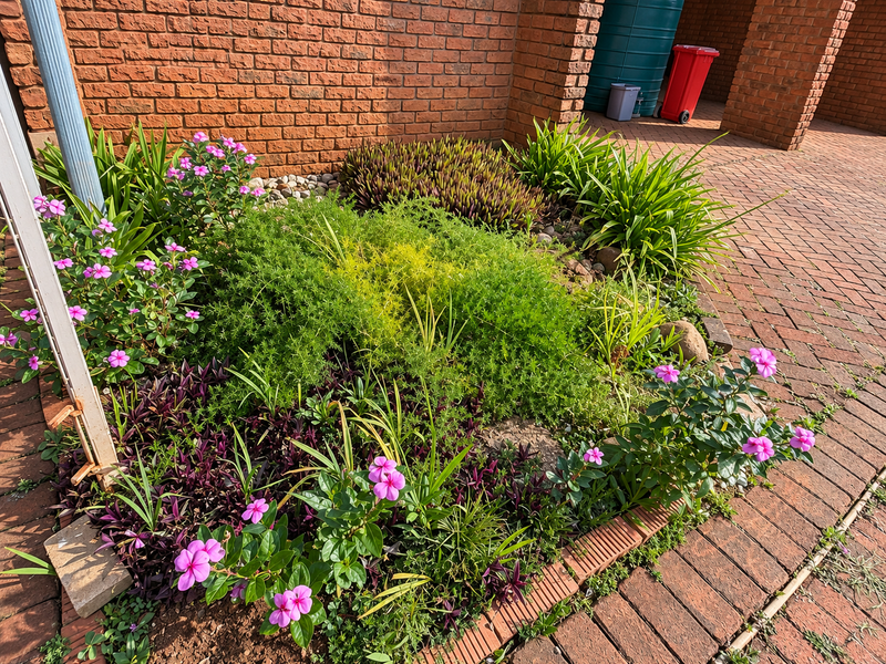 A landscaped garden bed featuring a variety of plants, set against a brick wall with adjacent brick paving and a water tank.
