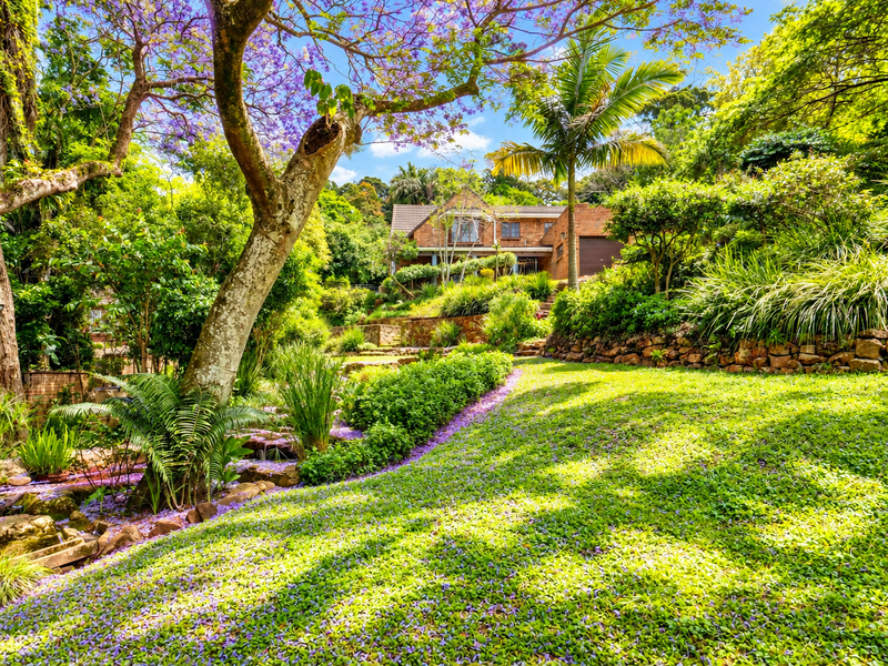 A lush, well-maintained garden featuring mature trees, vibrant flowering jacaranda, and stone retaining walls leading up to the main house.