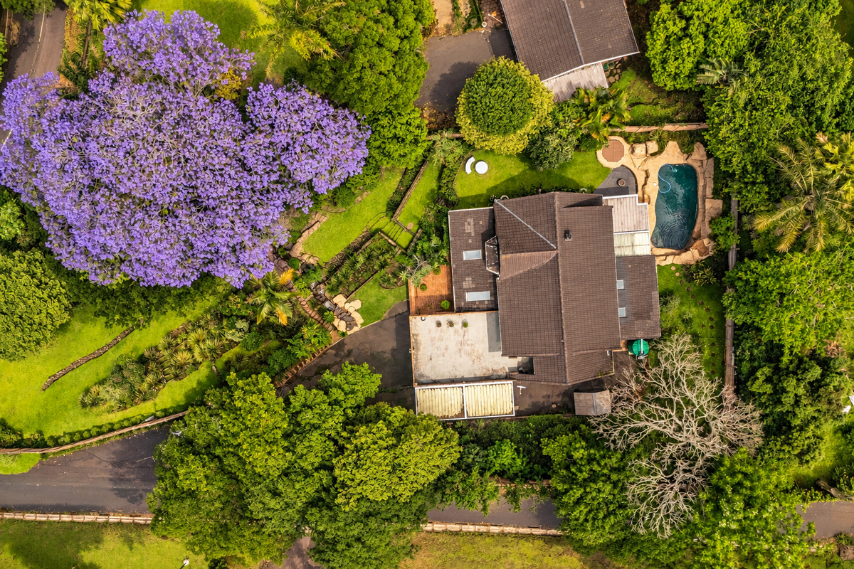 Aerial view of a residential property featuring a tiled roof, swimming pool, and lush landscaped gardens with mature trees.