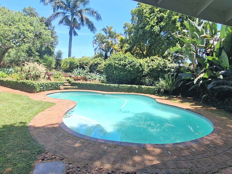 A well-maintained swimming pool set within a lush, landscaped garden, viewed from a covered patio area.