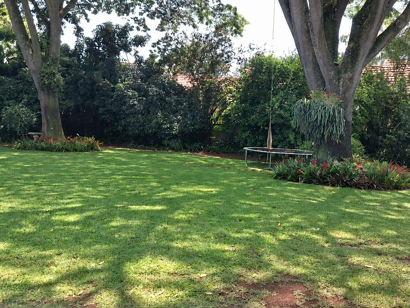A spacious, well-maintained private garden featuring mature trees, lush lawn, and a view of the rear building elevation with a chimney.