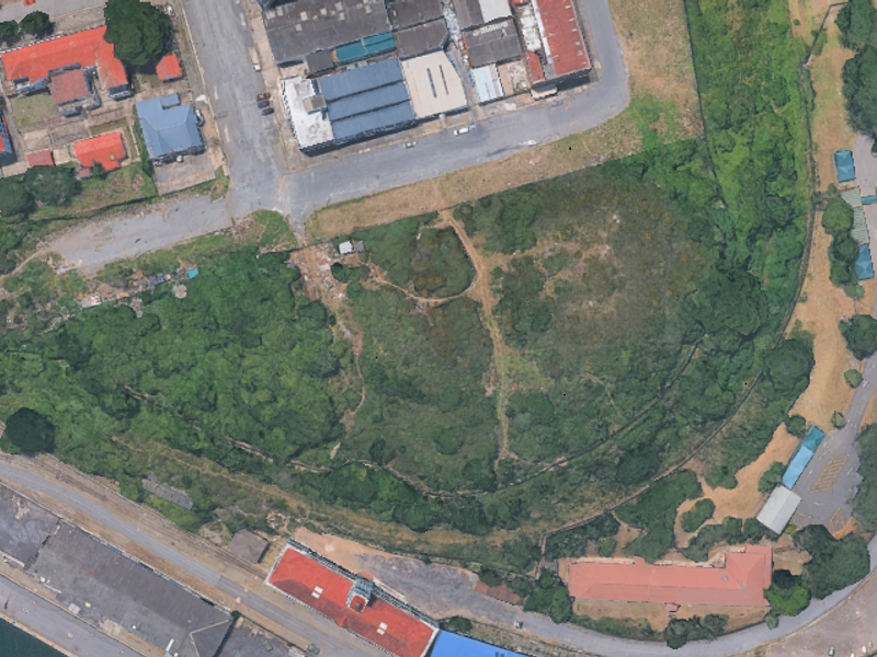 Aerial view of a large, undeveloped vacant residential plot featuring natural vegetation and surrounding road access.