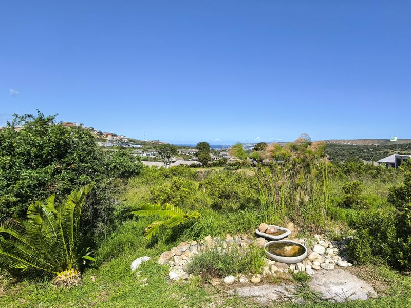 A scenic elevated view overlooking the surrounding landscape and residential neighborhood, featuring a natural garden setting with stone accents.