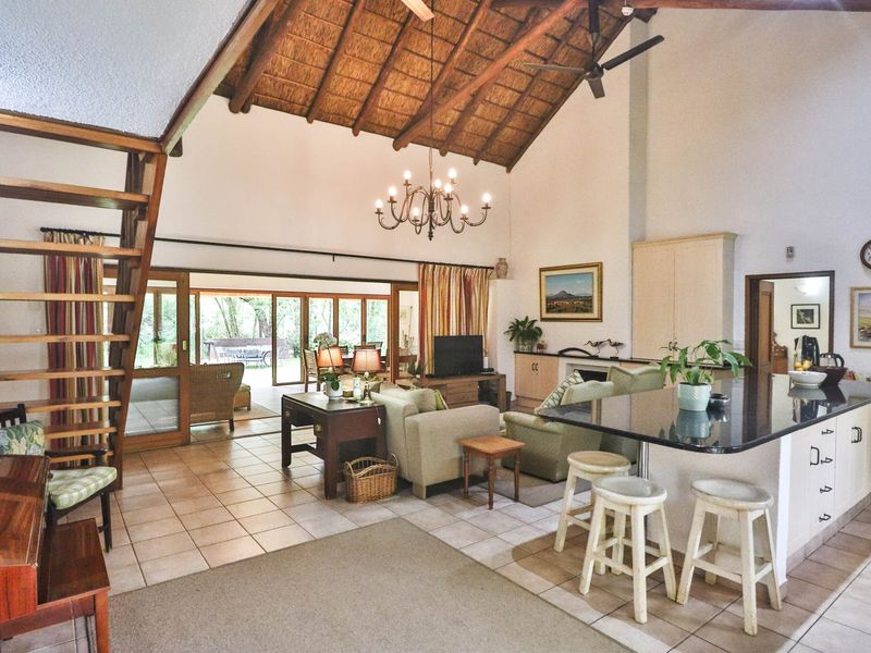 Spacious open-plan living area featuring a high thatched ceiling with exposed rafters, a modern kitchen island, and seamless flow to the outdoor patio.