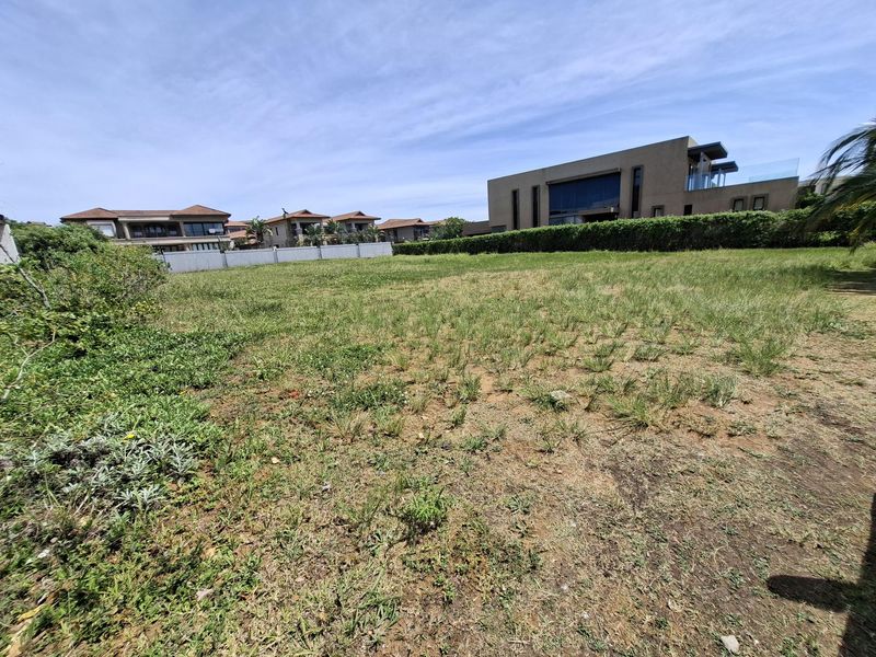 A vacant residential plot featuring natural grass cover, enclosed by boundary walls and established perimeter hedging in a developed estate setting.