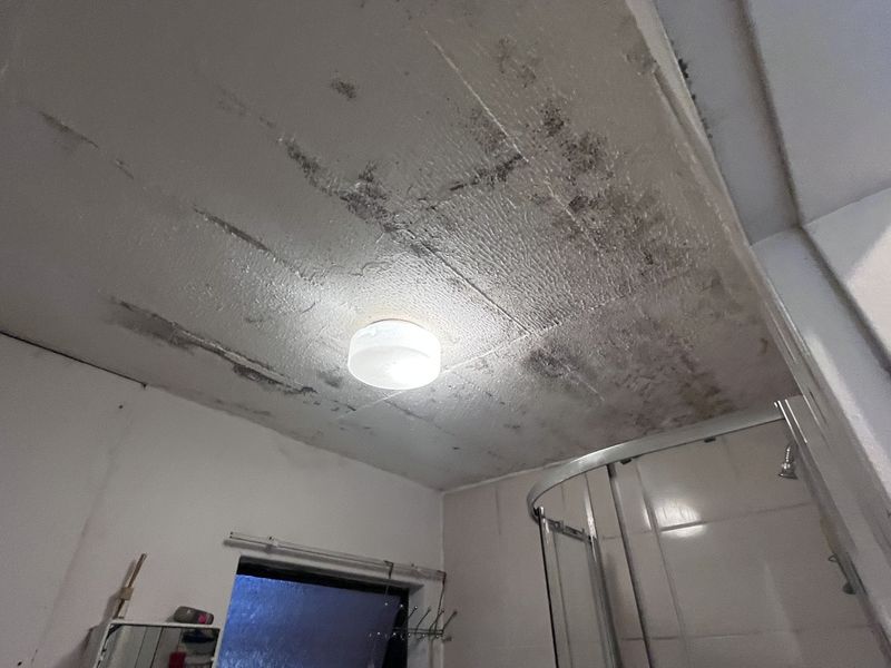 Bathroom featuring a shower enclosure and ceiling light, currently showing significant signs of ceiling staining and potential water damage requiring maintenance.
