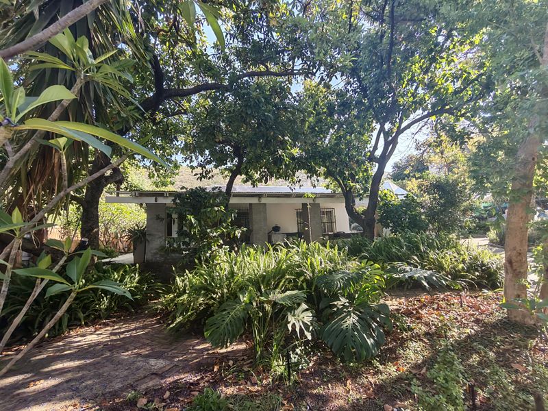A lush, mature garden setting featuring a covered patio area with brick paving, surrounded by established trees and dense greenery.