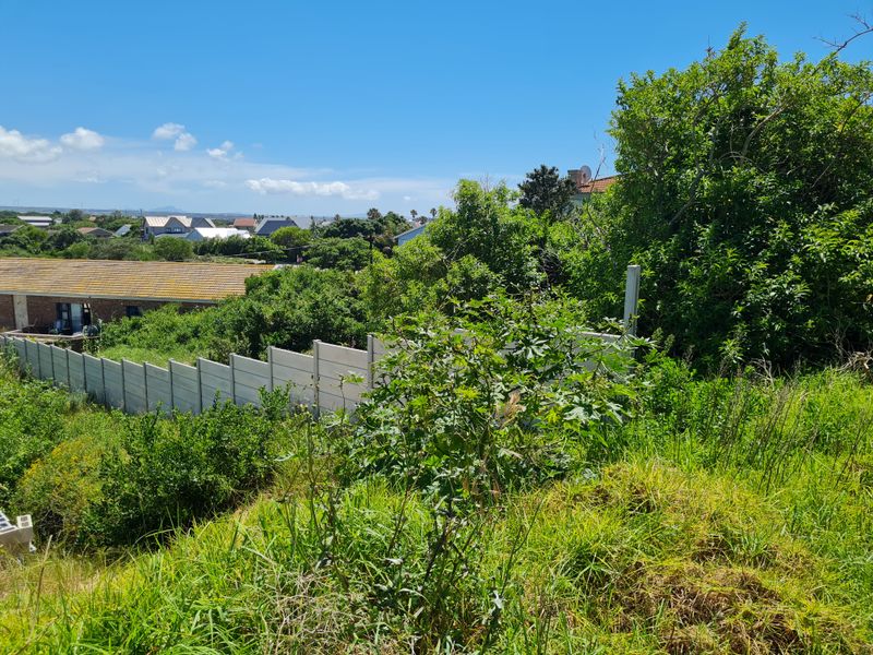 A view of the residential plot featuring a precast concrete boundary wall and surrounding neighborhood landscape.