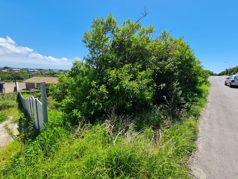 A street-level view of a vacant residential plot featuring overgrown vegetation and a boundary fence adjacent to a paved road.