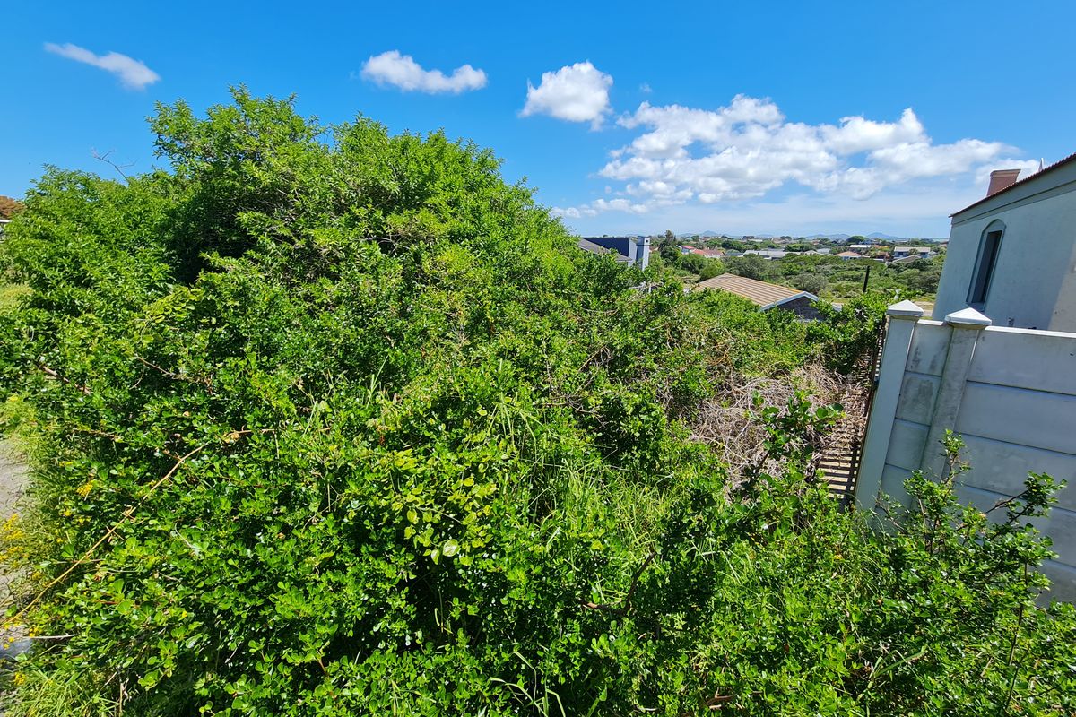 A view of the rear property boundary featuring dense, overgrown vegetation and a partial view of the adjacent residential structure.