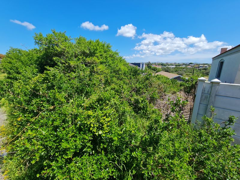 A view of the rear property boundary featuring dense, overgrown vegetation and a partial view of the adjacent residential structure.