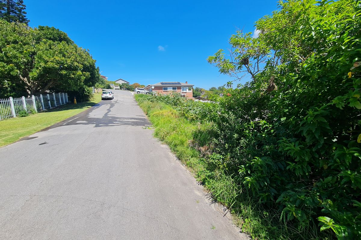 A view of the paved street and surrounding residential neighborhood, showing established trees and perimeter fencing.