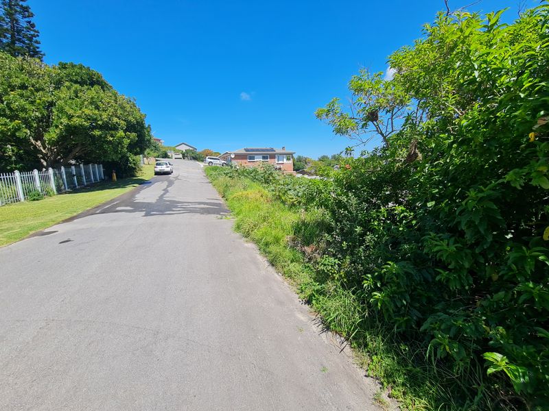 A view of the paved street and surrounding residential neighborhood, showing established trees and perimeter fencing.