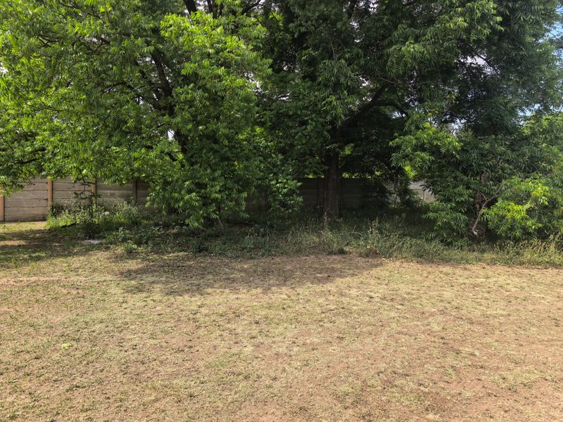 A spacious backyard area featuring mature trees and a precast concrete boundary wall, currently requiring landscaping and lawn maintenance.