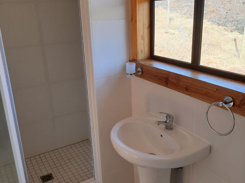 A clean bathroom featuring a pedestal basin, a shower enclosure with tiled walls, and decorative floor tiling with a timber-framed window.