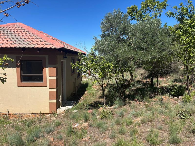 A view of the rear exterior of the house featuring a tiled roof, plastered walls, and aluminium window frames, set against an unmaintained garden area.