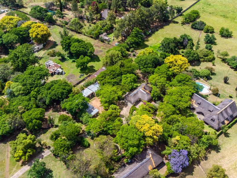 Aerial view of a sprawling farm property featuring multiple thatched-roof buildings, mature trees, a swimming pool, and extensive surrounding grounds.