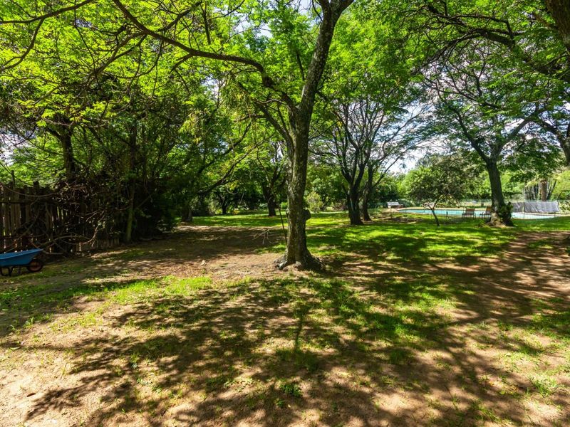 A spacious, tree-lined garden area featuring mature trees, natural ground cover, and a swimming pool visible in the background.