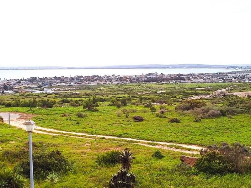 MANSION UP THE HILL IN MYBURGH PARK - Photo 8