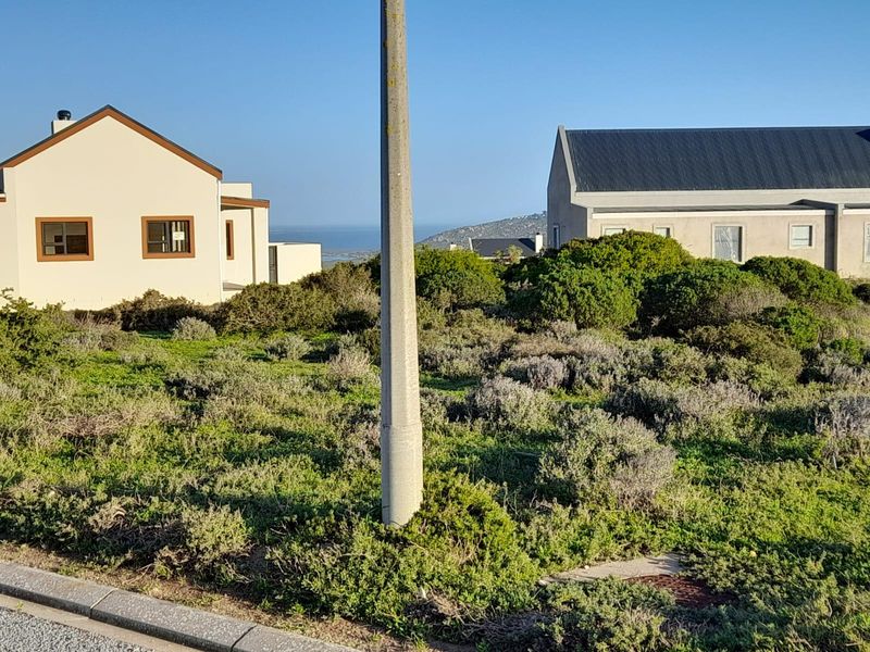 A view of a vacant residential plot featuring native vegetation, a utility pole, and surrounding residential properties.