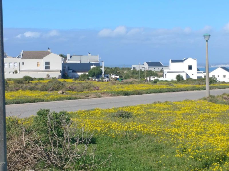 A view of a paved street in a residential area with surrounding vacant land and nearby modern homes.