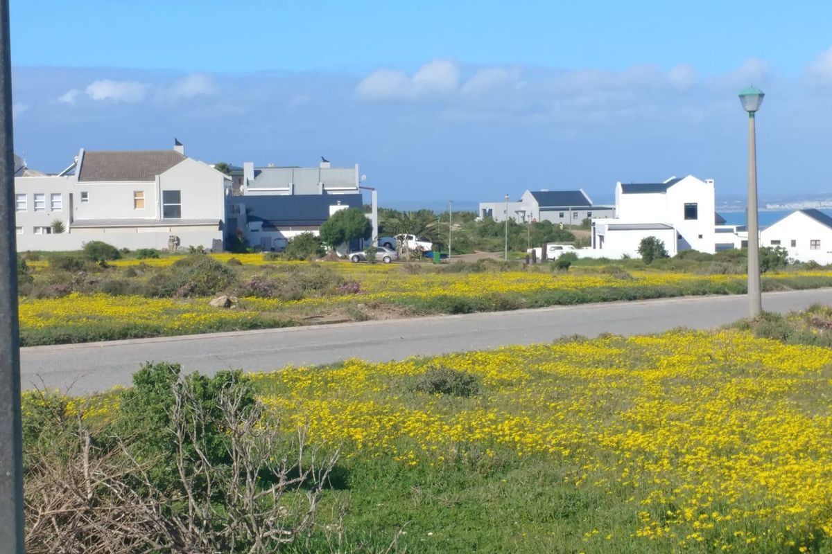 A view of a paved street in a residential area with surrounding vacant land and nearby modern homes.