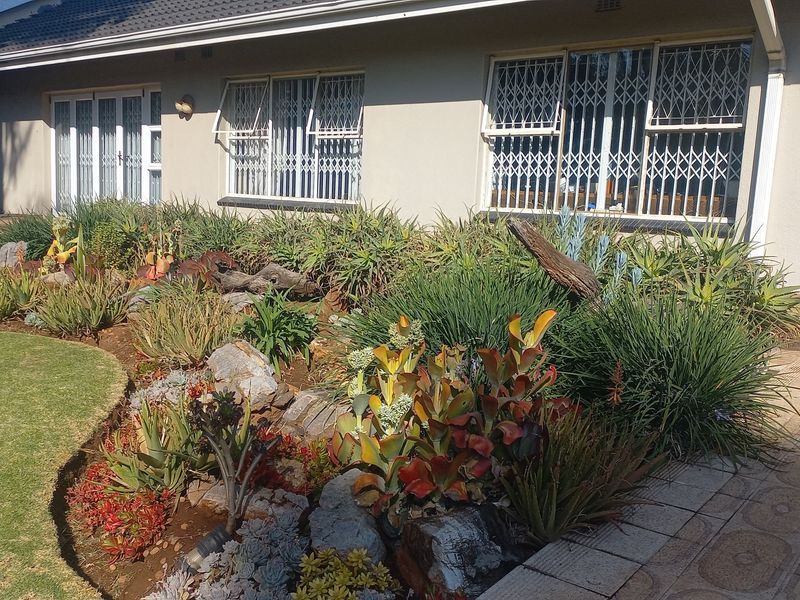 Your Future in Bedfordview - Photo 8