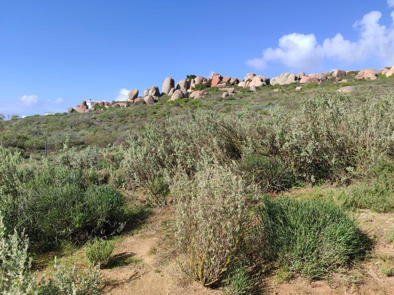 Vacant land for sale in Columbine, St Helena Bay - Photo 5