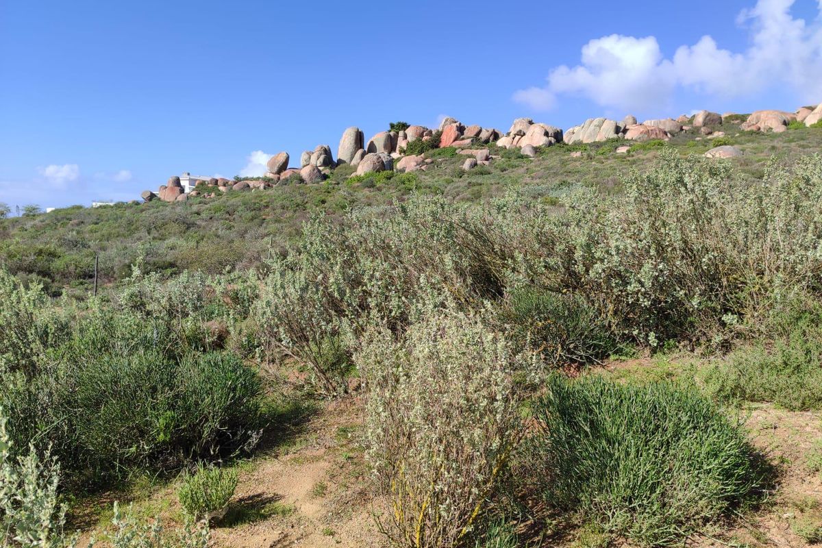 Vacant land for sale in Columbine, St Helena Bay - Photo 5