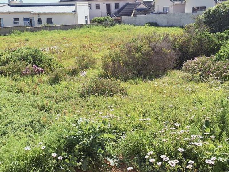 BEAUTIFUL PLOT IN MYBURGH PARK - Photo 4