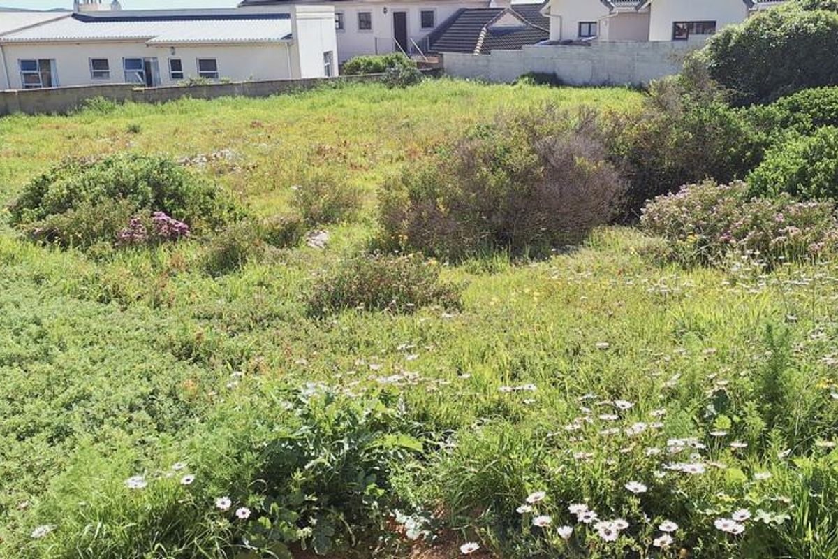 BEAUTIFUL PLOT IN MYBURGH PARK - Photo 4