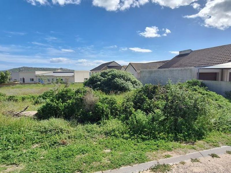 BEAUTIFUL PLOT IN MYBURGH PARK - Photo 9
