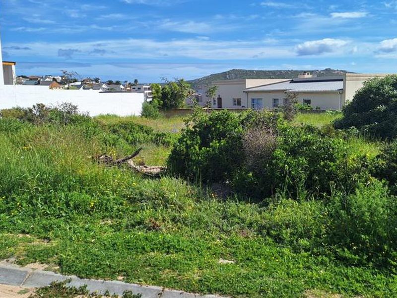 BEAUTIFUL PLOT IN MYBURGH PARK - Photo 7