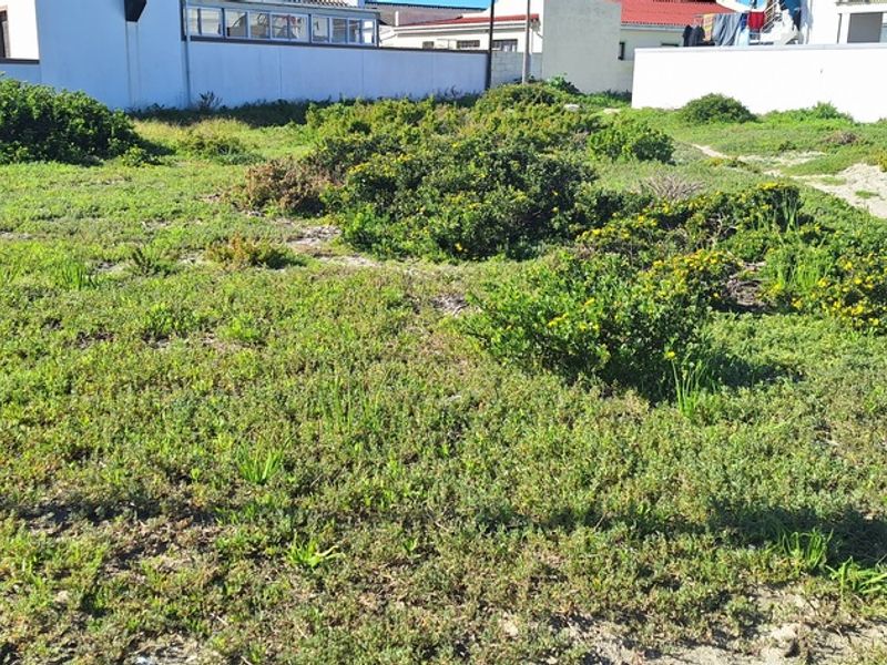 Rare plot close the beach in Langebaan - Photo 7