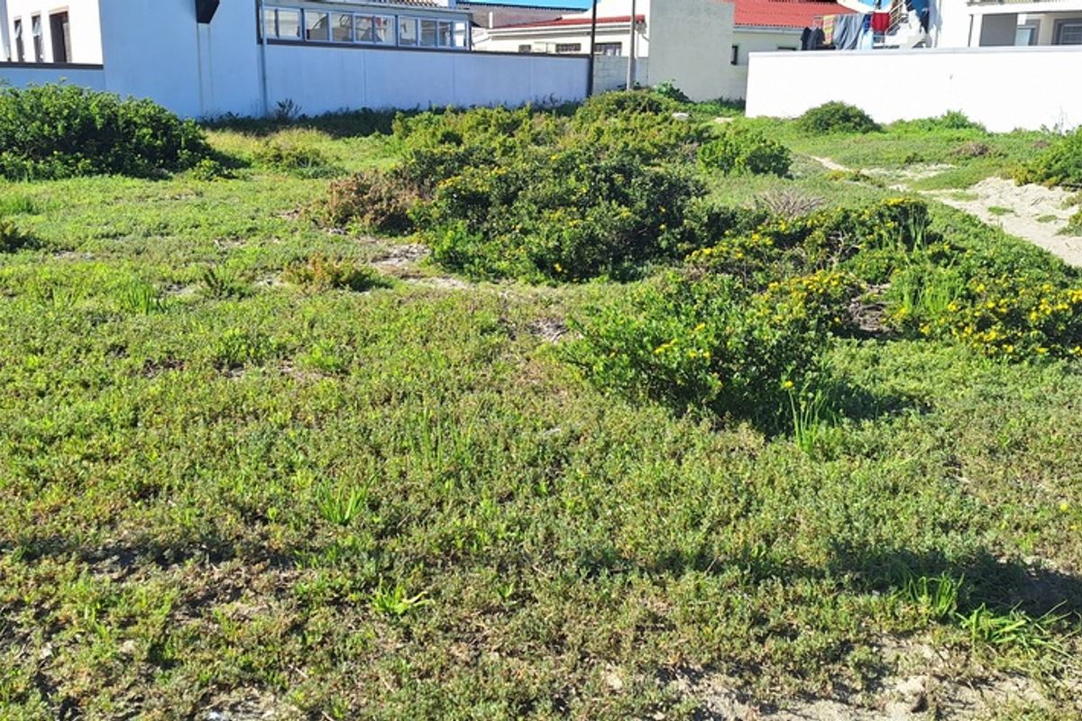 A vacant residential plot featuring natural coastal vegetation and surrounding boundary walls, offering a blank canvas for future development.