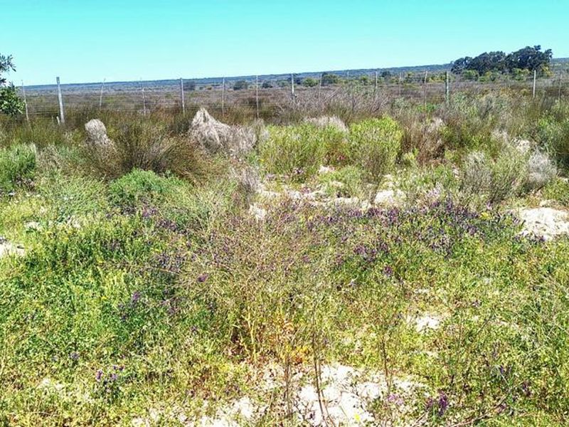 Beautiful Plot For Sale in Hopefield - Photo 7