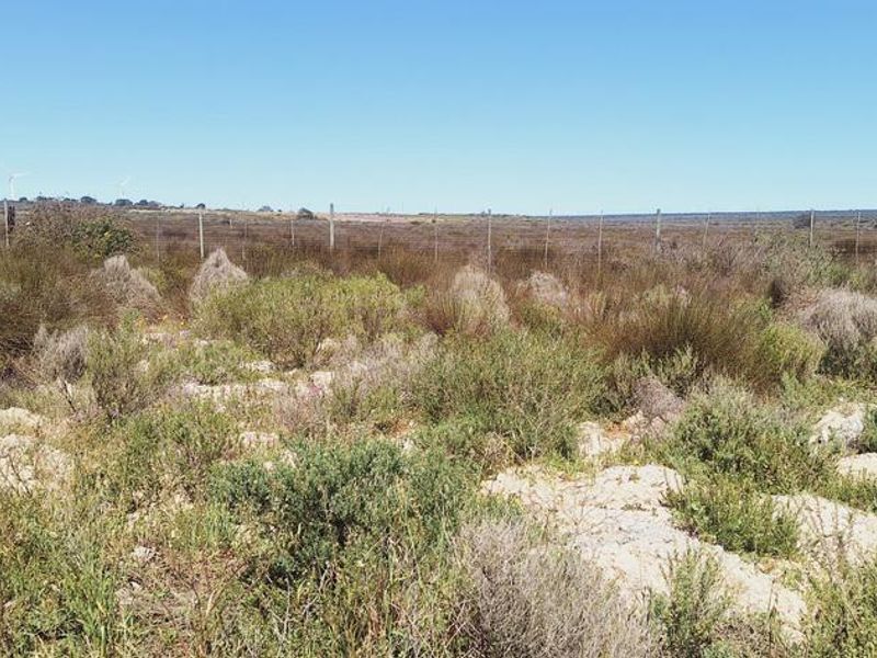 Beautiful Plot For Sale in Hopefield - Photo 6