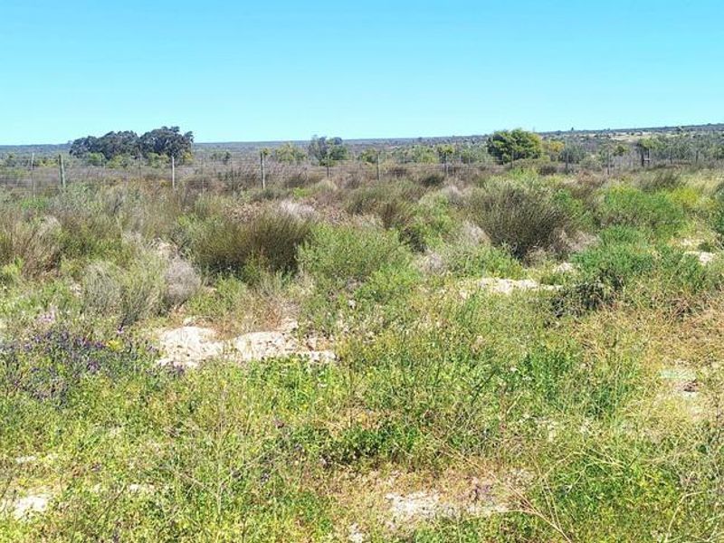 Beautiful Plot For Sale in Hopefield - Photo 5