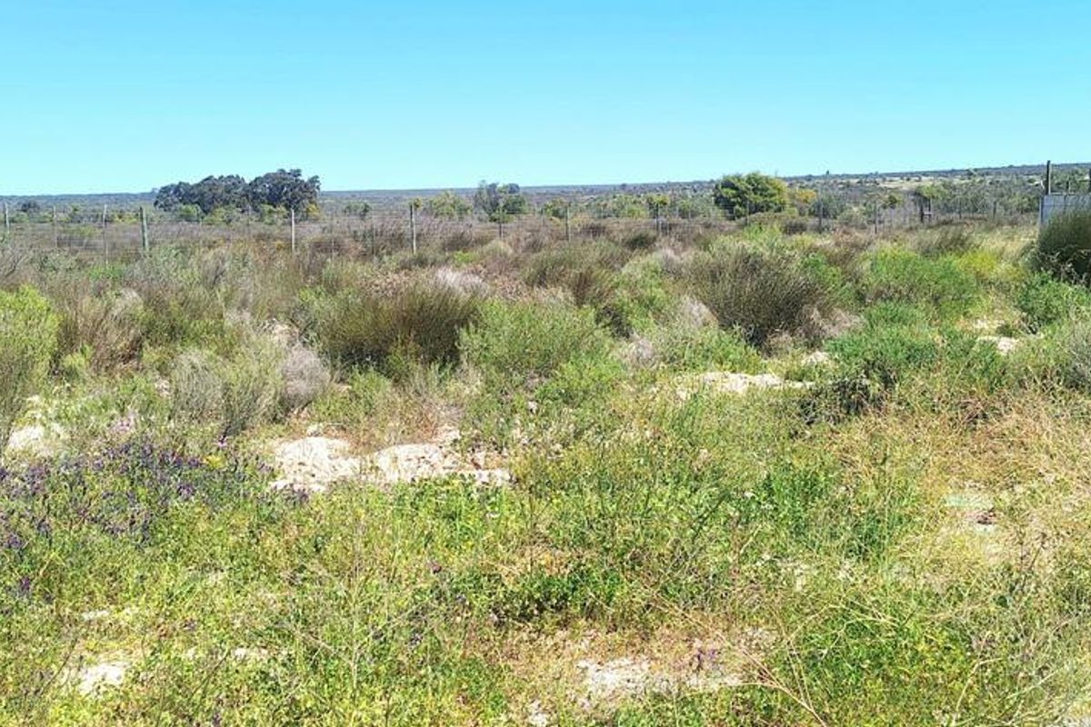 Beautiful Plot For Sale in Hopefield - Photo 5