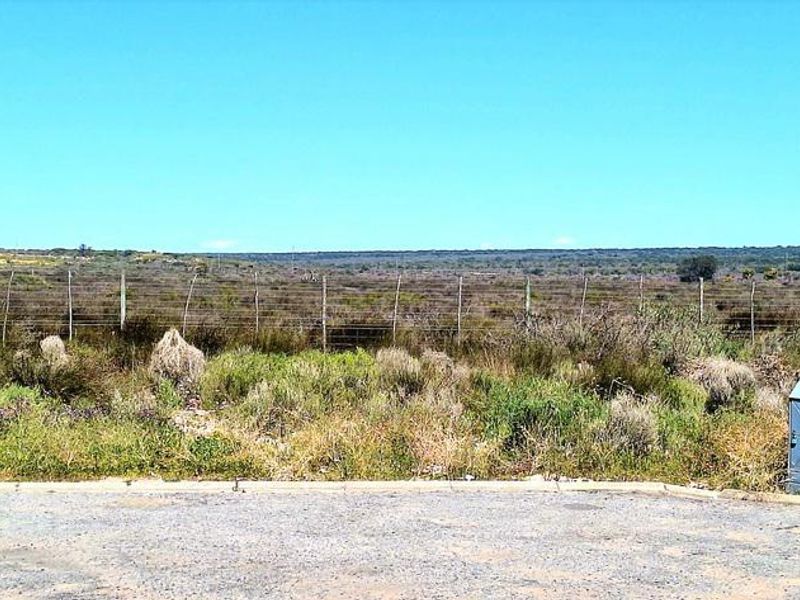 Beautiful Plot For Sale in Hopefield - Photo 3